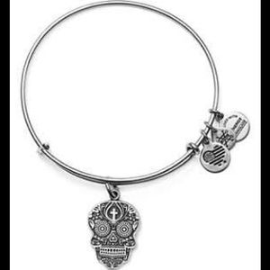 Alex and Ani NWT Cute Silver Wrap