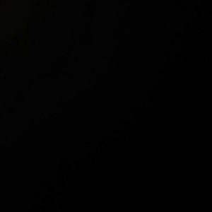 Meet your Posher, Bryce