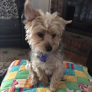 Meet your Posher, Constance