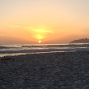 Meet your Posher, Madeline