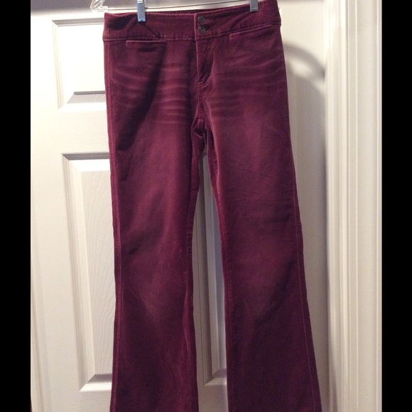 express velvet pants