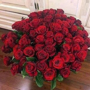 Meet your Posher, Monica