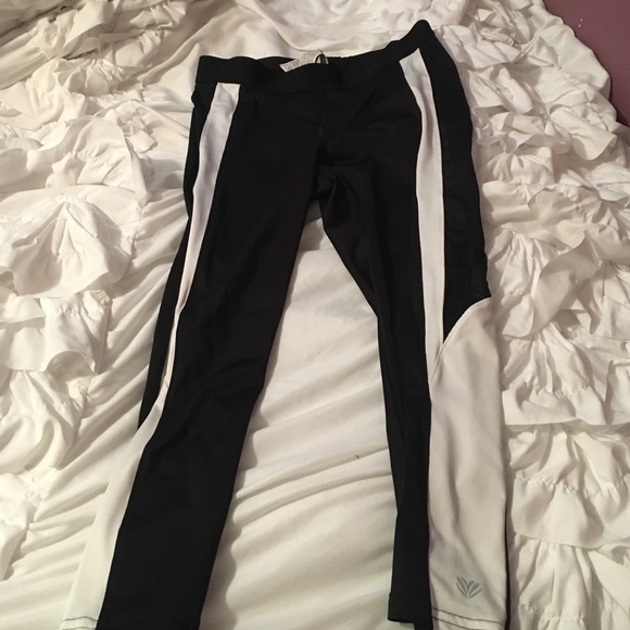 Active mesh leggings