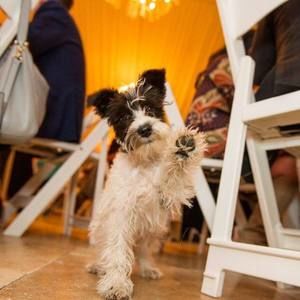 Meet your Posher, Eudora