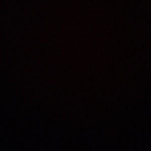 Meet your Posher, Jake