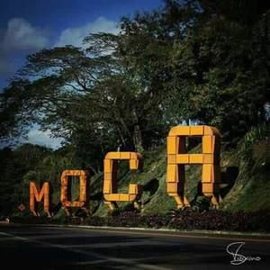 Meet your Posher, George