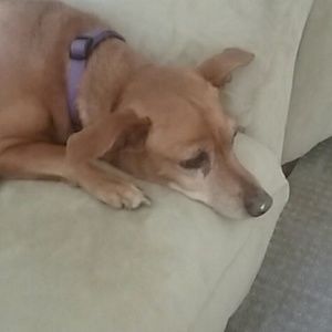 Meet your Posher, Leaha