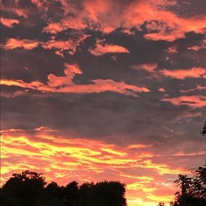 Meet your Posher, Lindsay