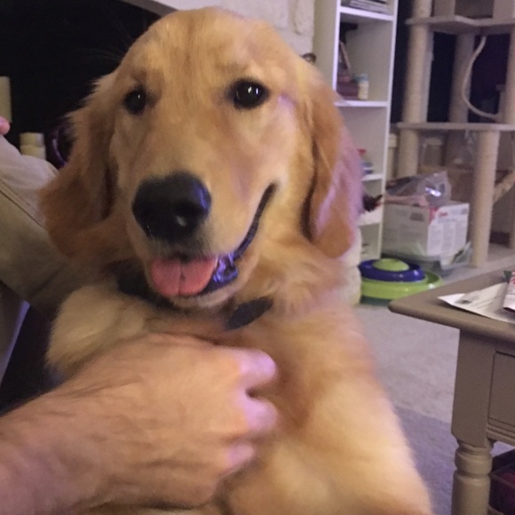 Meet your Posher - Picture 3 of 4