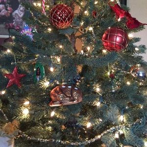 Meet your Posher, Delia