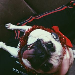 Meet your Posher, Mckenna