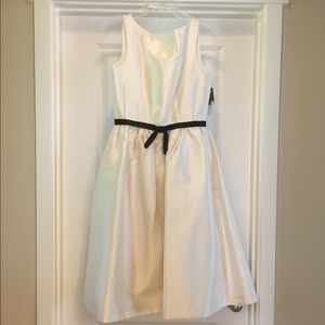 NWT BEAUTIFUL Tea-Length Taylor Dress, size 6