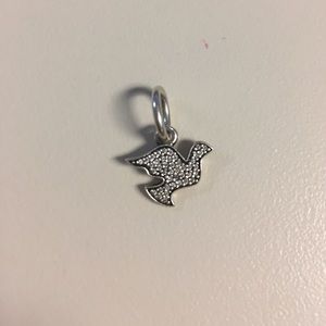 Pandora charm