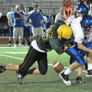 Meet your Posher, Bailey