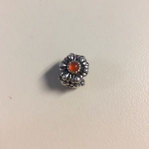 Pandora birthstone charm