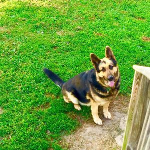 Meet your Posher, Colton