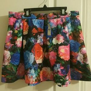 Express skirt