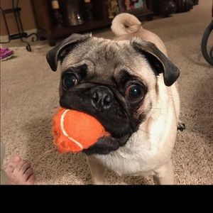 Meet your Posher, Tori