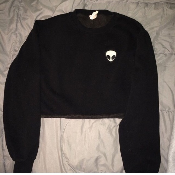 Brandy Melville Crop Sweater