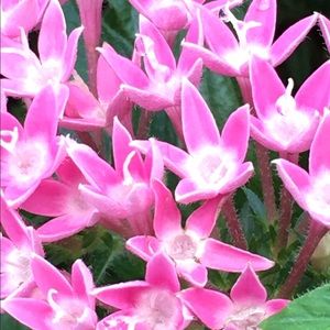 Meet your Posher, Prerna