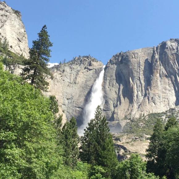 Meet your Posher, Robert - Picture 1 of 1