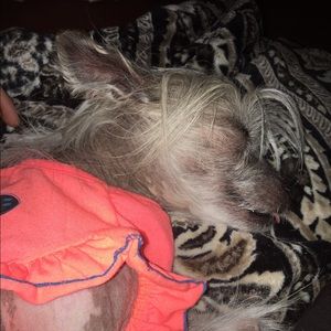 Meet your Posher, Taylor