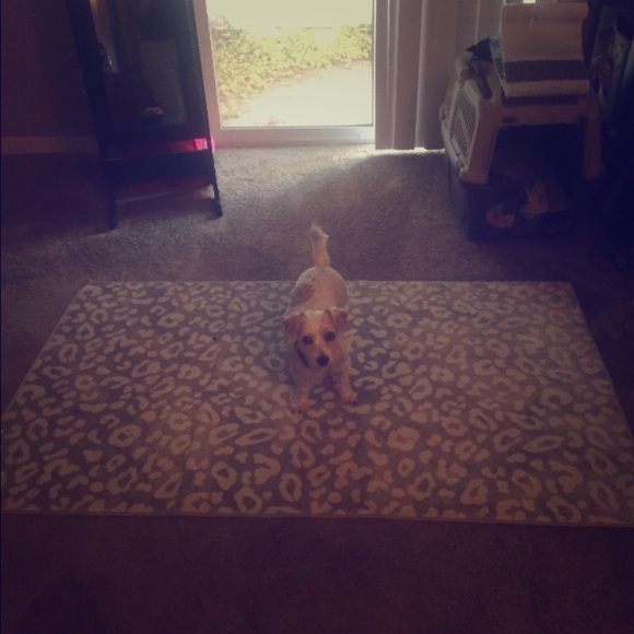 VICTORIA'S SECRET PINK GREY LEOPARD AREA RUG