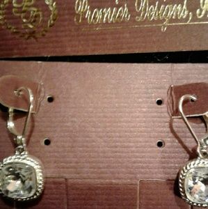 Retired Premier Designs Earrings