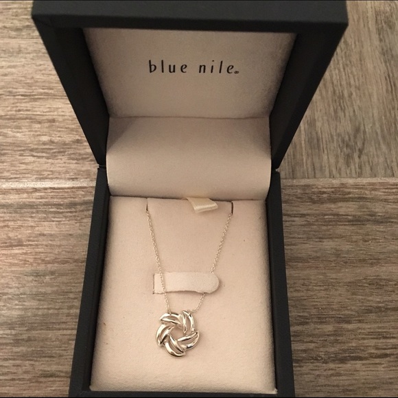 🎉HP🎉 Blue Nile silver necklace