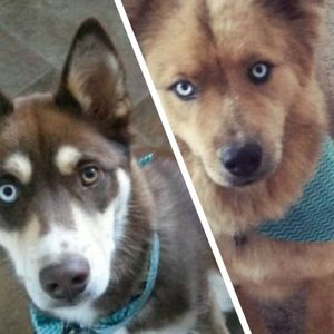 Meet your Posher, Jeana