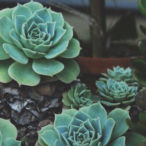 Meet your Posher, Lillian