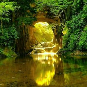 Meet your Posher, Teri