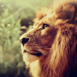 Meet your Posher, Sparkle