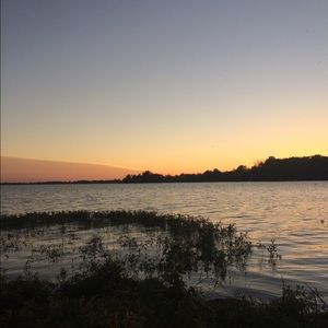 Meet your Posher, Maddie