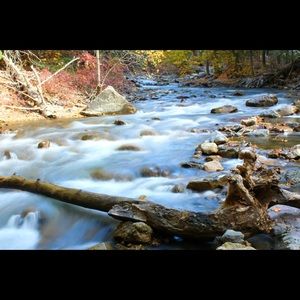 Meet your Posher, Wade