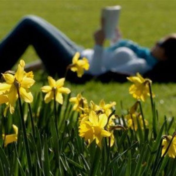 Meet your Posher, Alicia