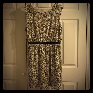 Loft Cream & Black Dress in Comfy Jersey Material