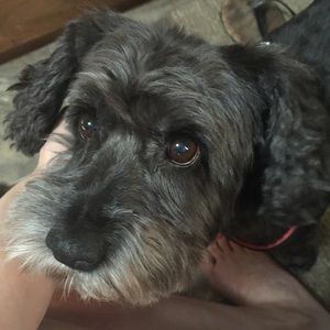 Meet your Posher, Crystal