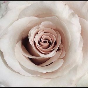 Meet your Posher, Chelline