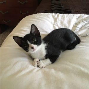 Meet your Posher, Tracy