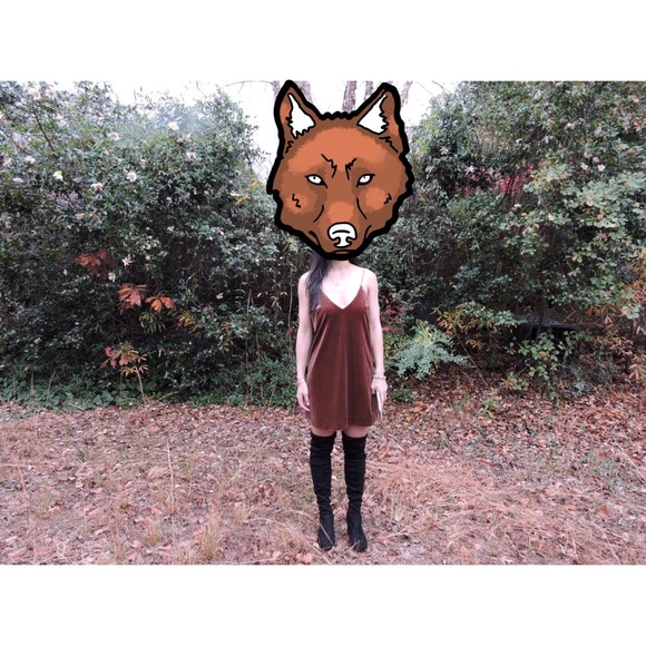 🚫Sold🚫✨Velvet Crush Dress - Picture 3 of 4