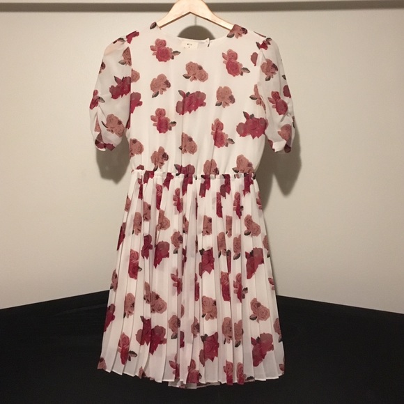 Rose printed sheer dress