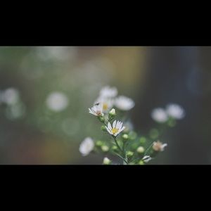 Meet your Posher, Tabitha