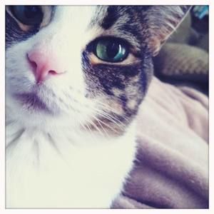 Meet your Posher, Carla