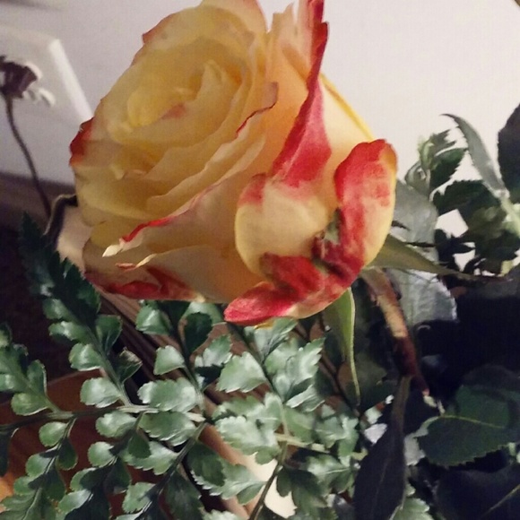 Meet your Posher, Nikki