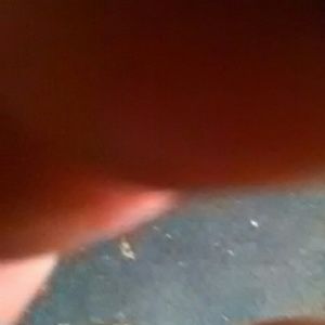 Meet your Posher, Colin