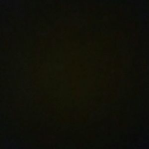 Meet your Posher, Sonja