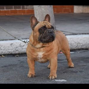 Meet your Posher, Sergio