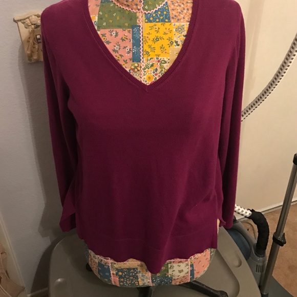 Loft Berry V-neck sweater