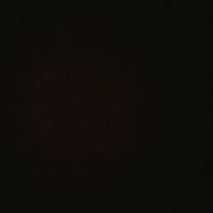 Meet your Posher, Damien